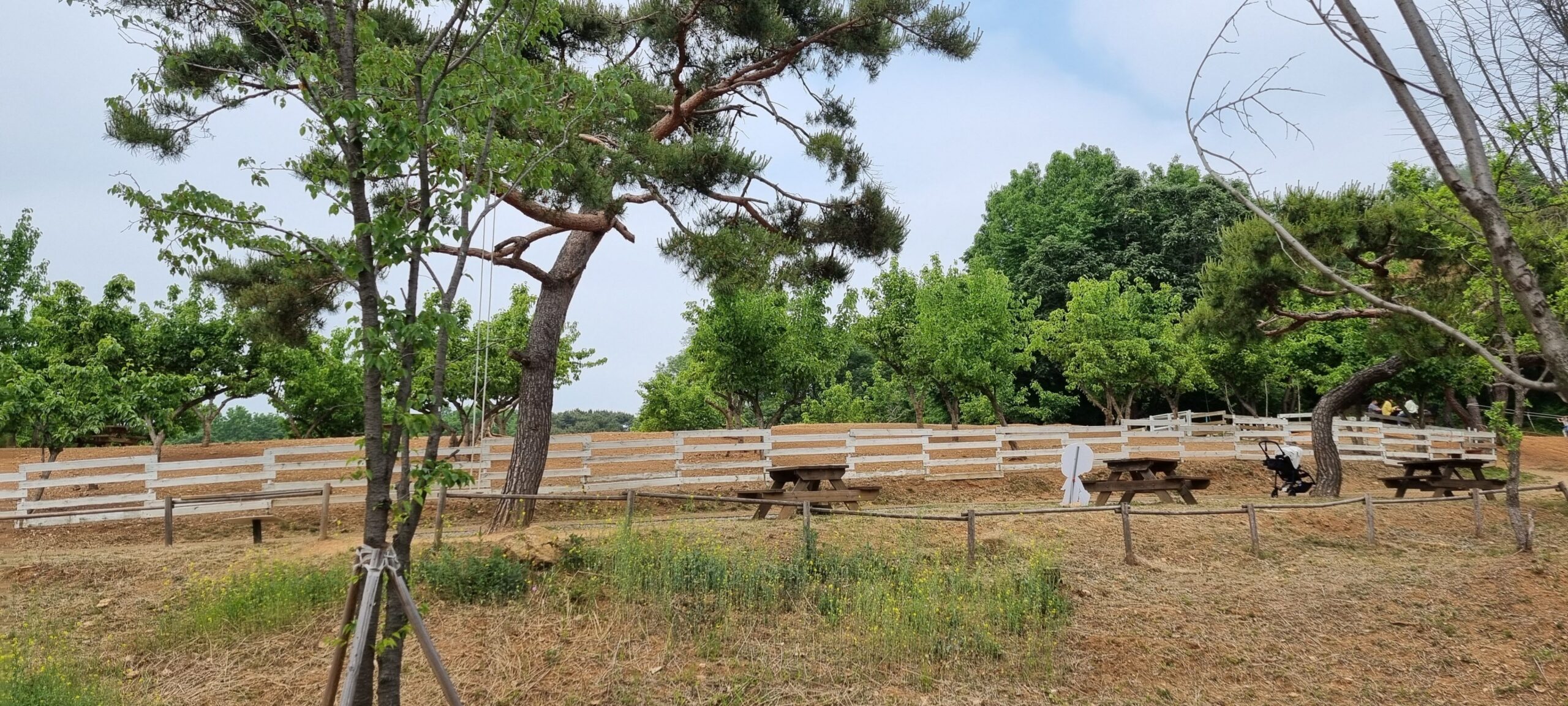 파주 팜 랜드 재방문 - 포토로그