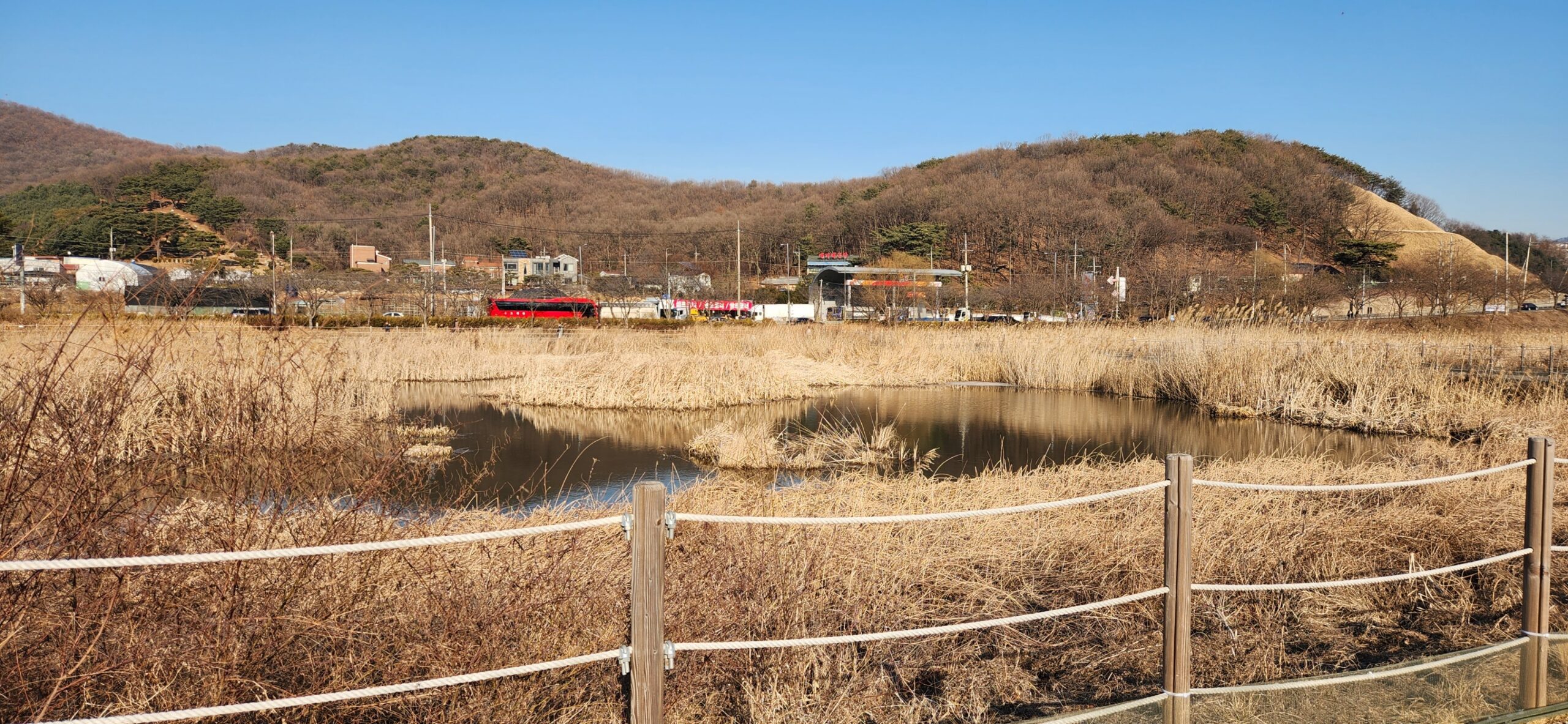 물왕저수지 산책 - 여행 스케치