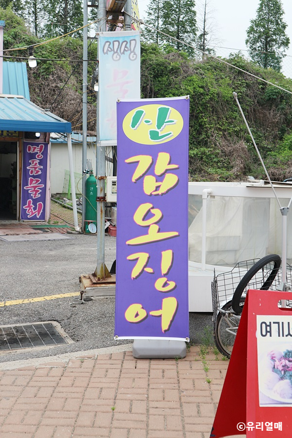 [공유] 대명항맛집 여긴 또 갈래~ - 여행 스케치